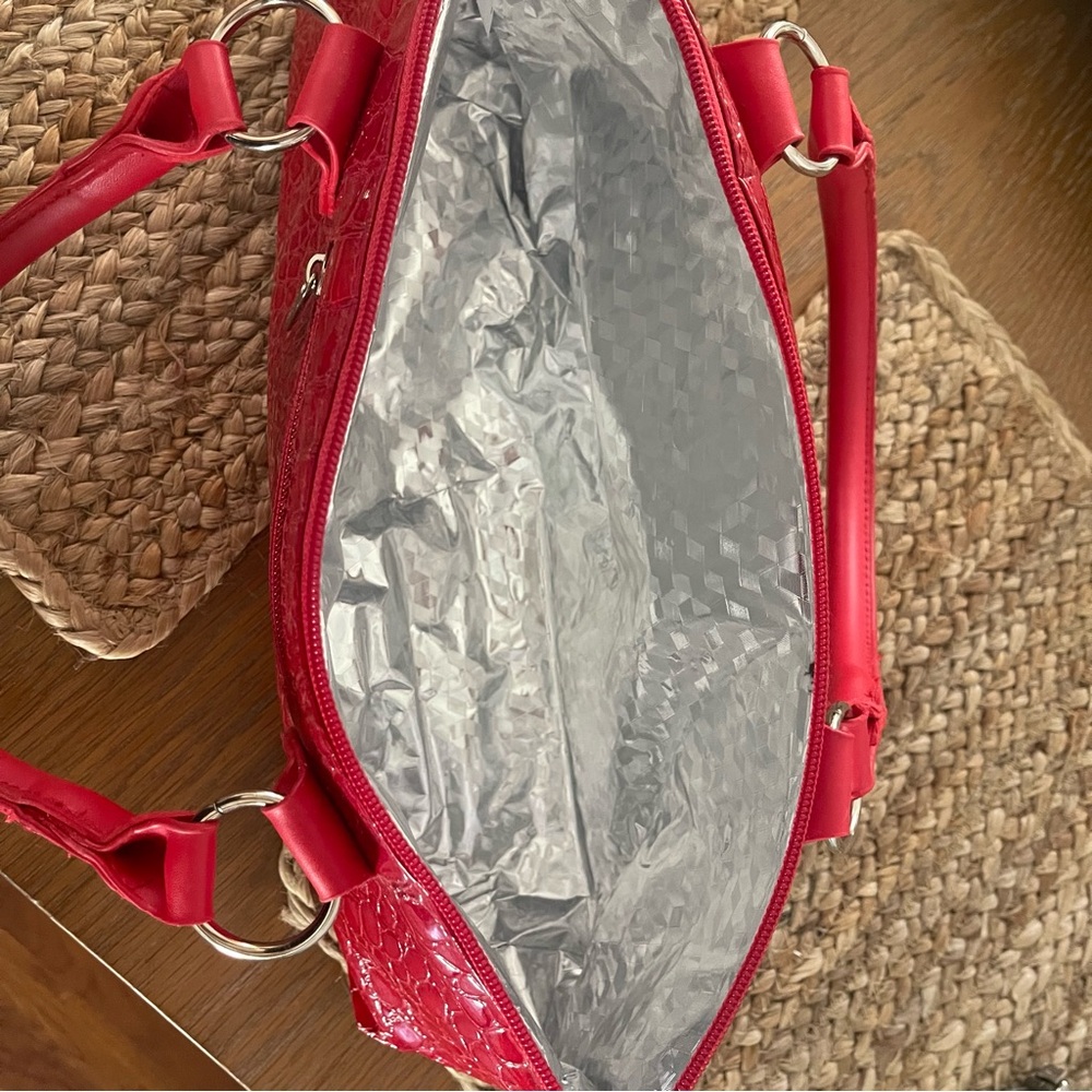 Wine Purse with Host Travel Glasses